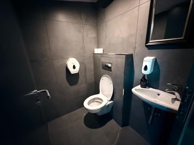 Hotel Zlata Vcela Domazlice Bagian luar foto